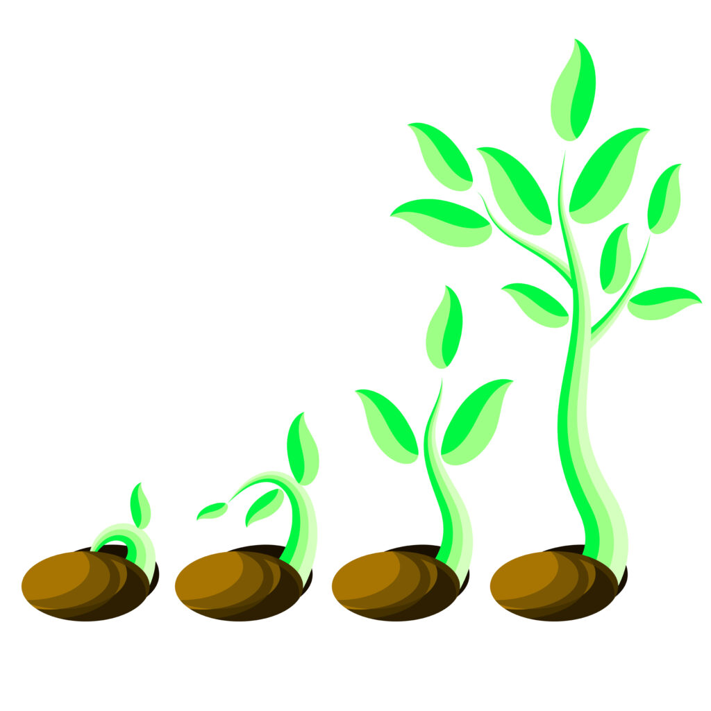 illustration of a seedling sprouting and growing into a large plant 