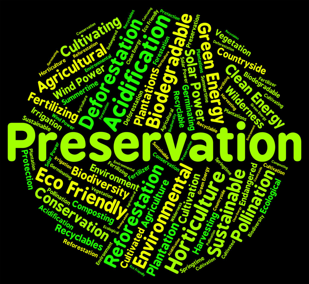 Preservation word graphic surrounded by other environment-related words