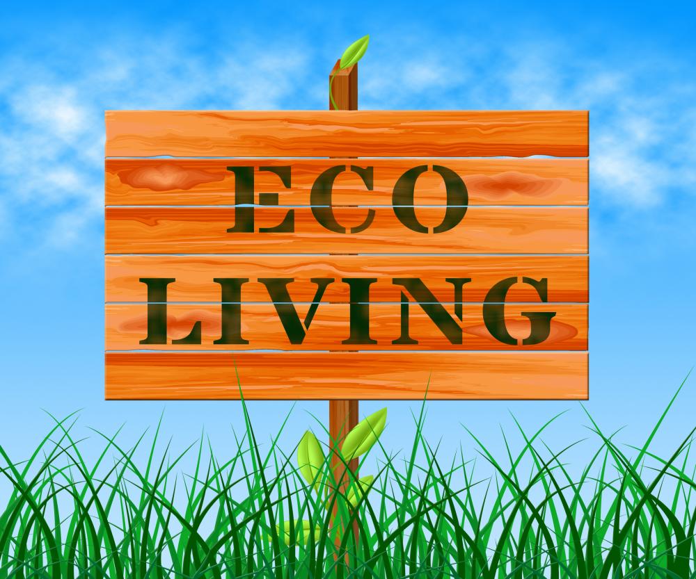 3D illustration of a wooden sign that reads 'eco living' and stands in a field of tall grass.