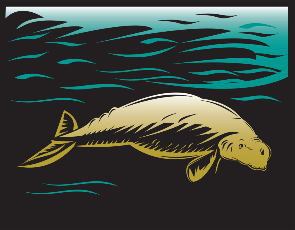 graphic colorblocked illustration of a dugong swimming