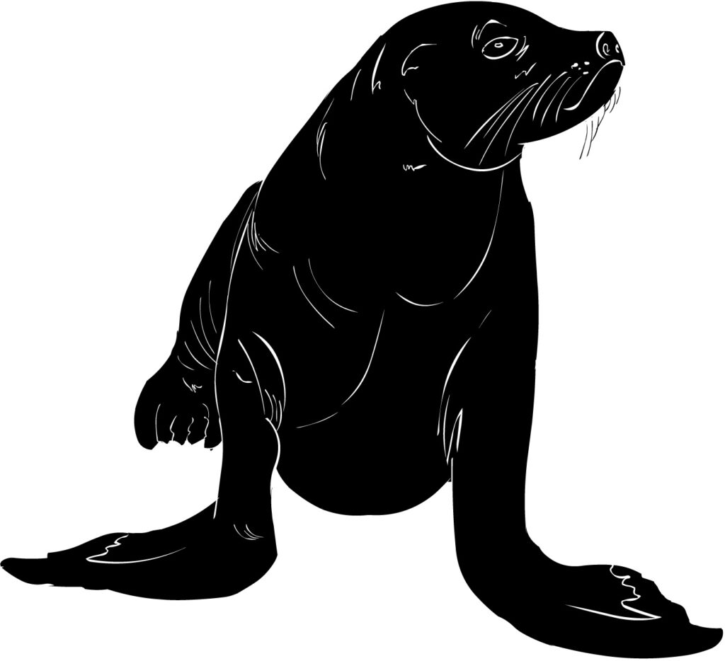 black ink style illustration of a seal with whiskers and its head turned to the side