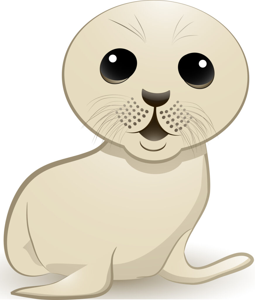 Marine Mammals: 15 Facts & Clipart Images - Clipart Blog