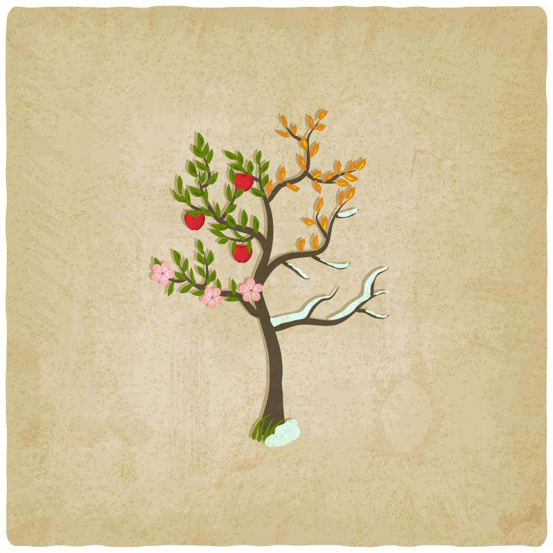 vector drawing of a tree showing signs of all four seasons on its branches