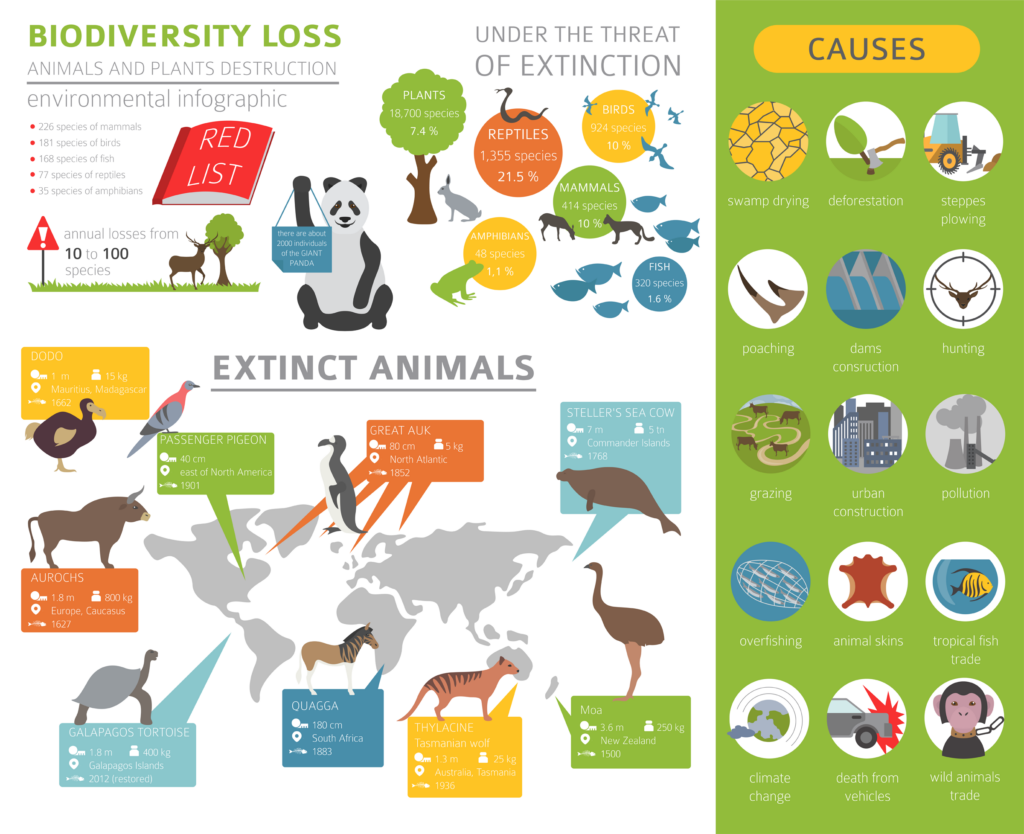 biodiversity loss infographic