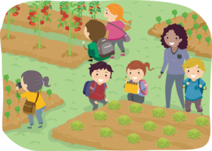 Illustration of Stickman Kids School Trip to a Vegetable Garden