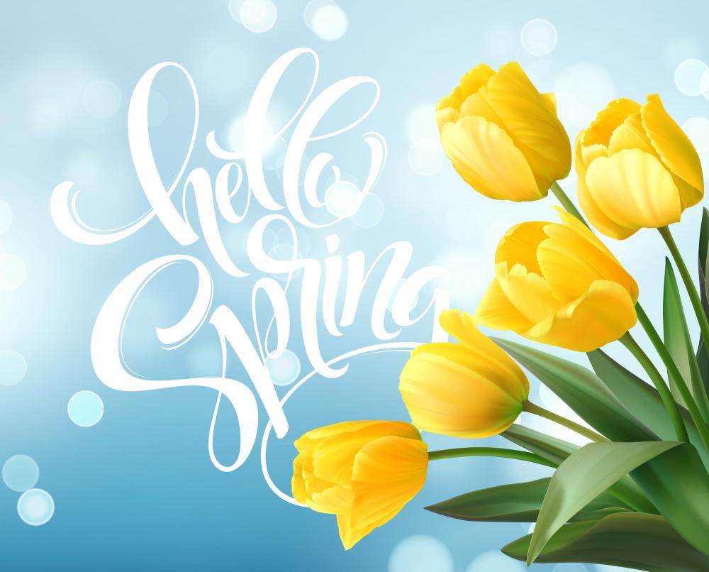 Spring Clipart